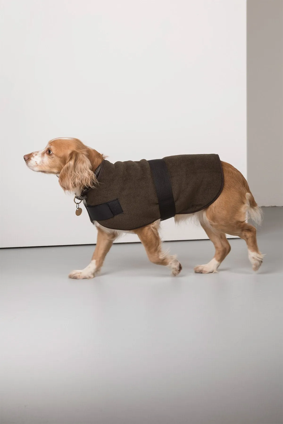 Fleece Dog Coat