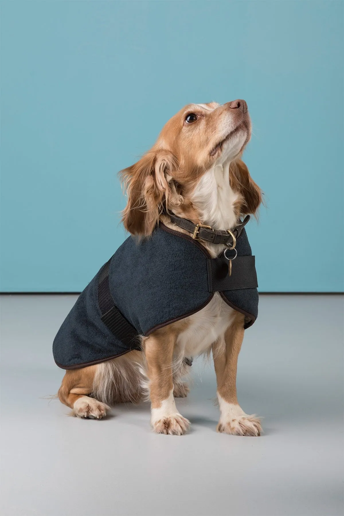 Fleece Dog Coat