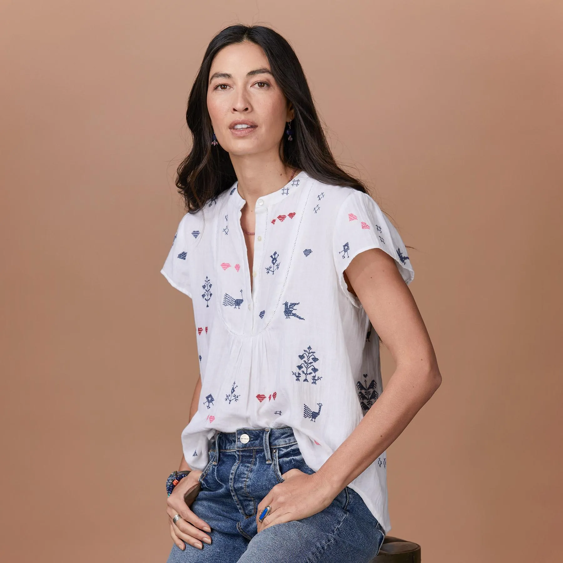 Hibi Embroidered Top