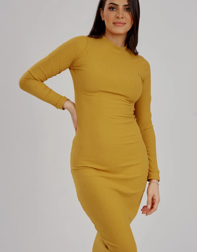 Rib Body Dress - Complementary Shades