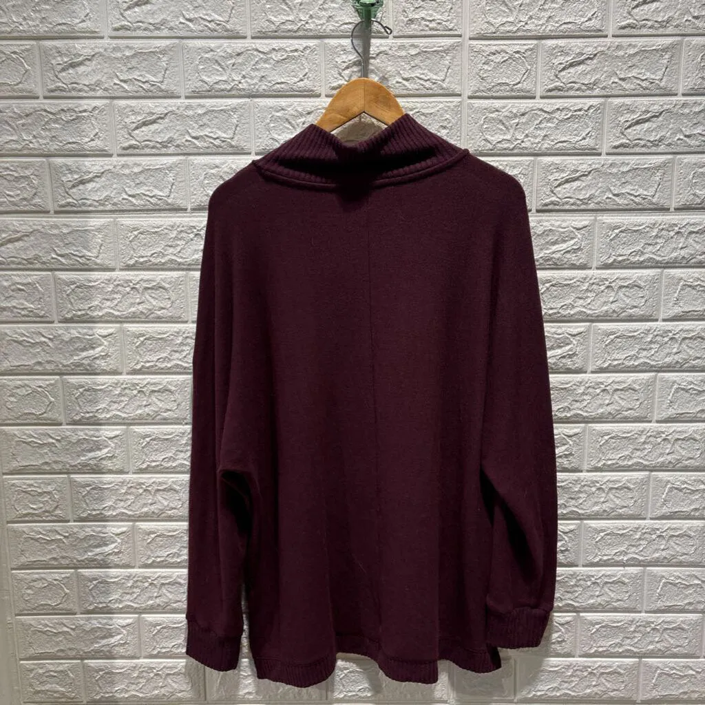 Turtleneck Super Soft Tunic Style Sweater NWT