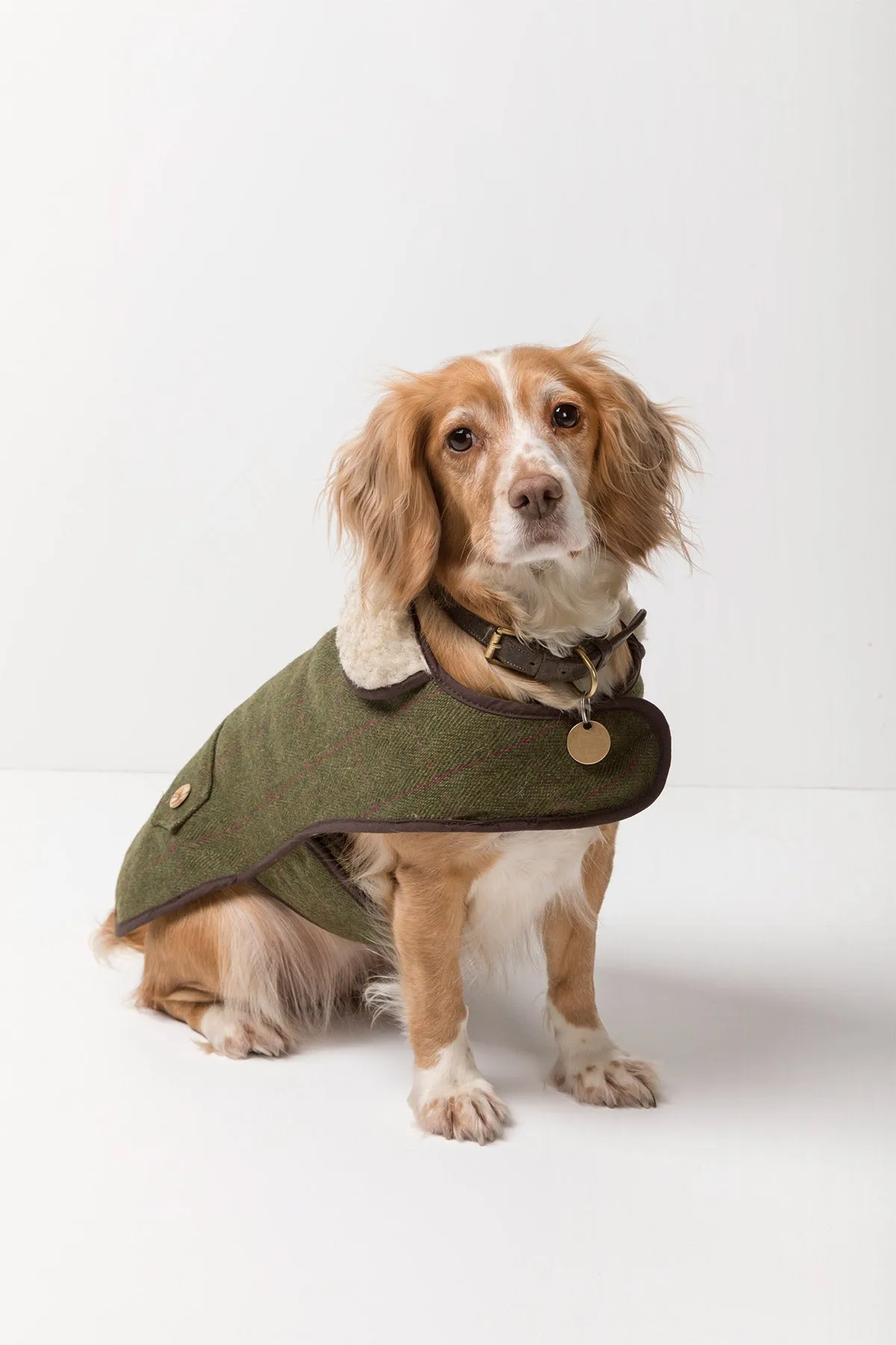 Tweed Dog Coat