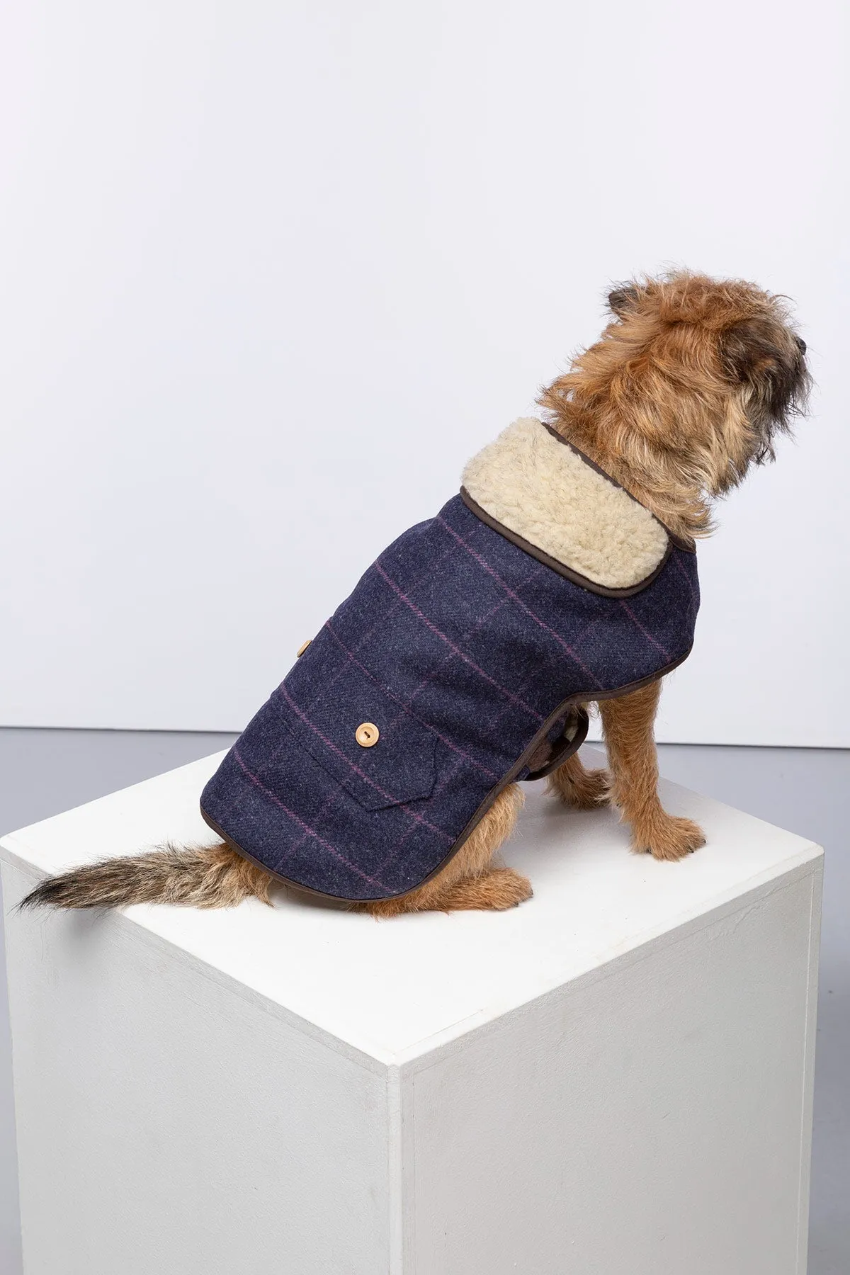 Tweed Dog Coat