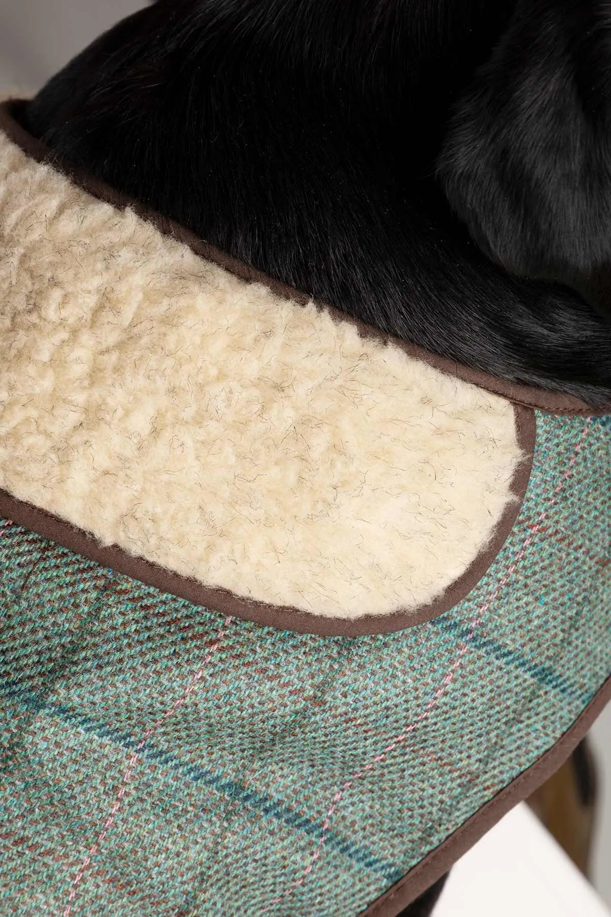 Tweed Dog Coat