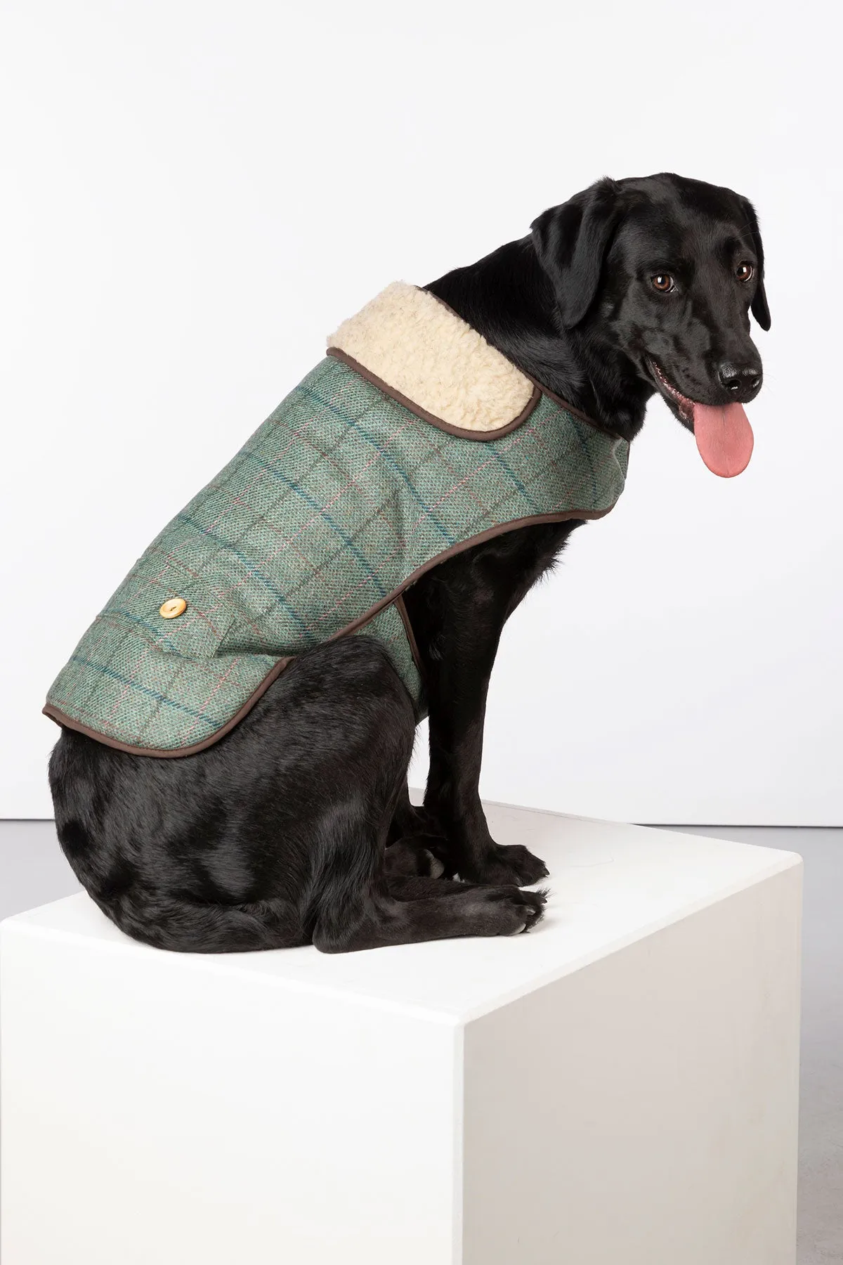 Tweed Dog Coat