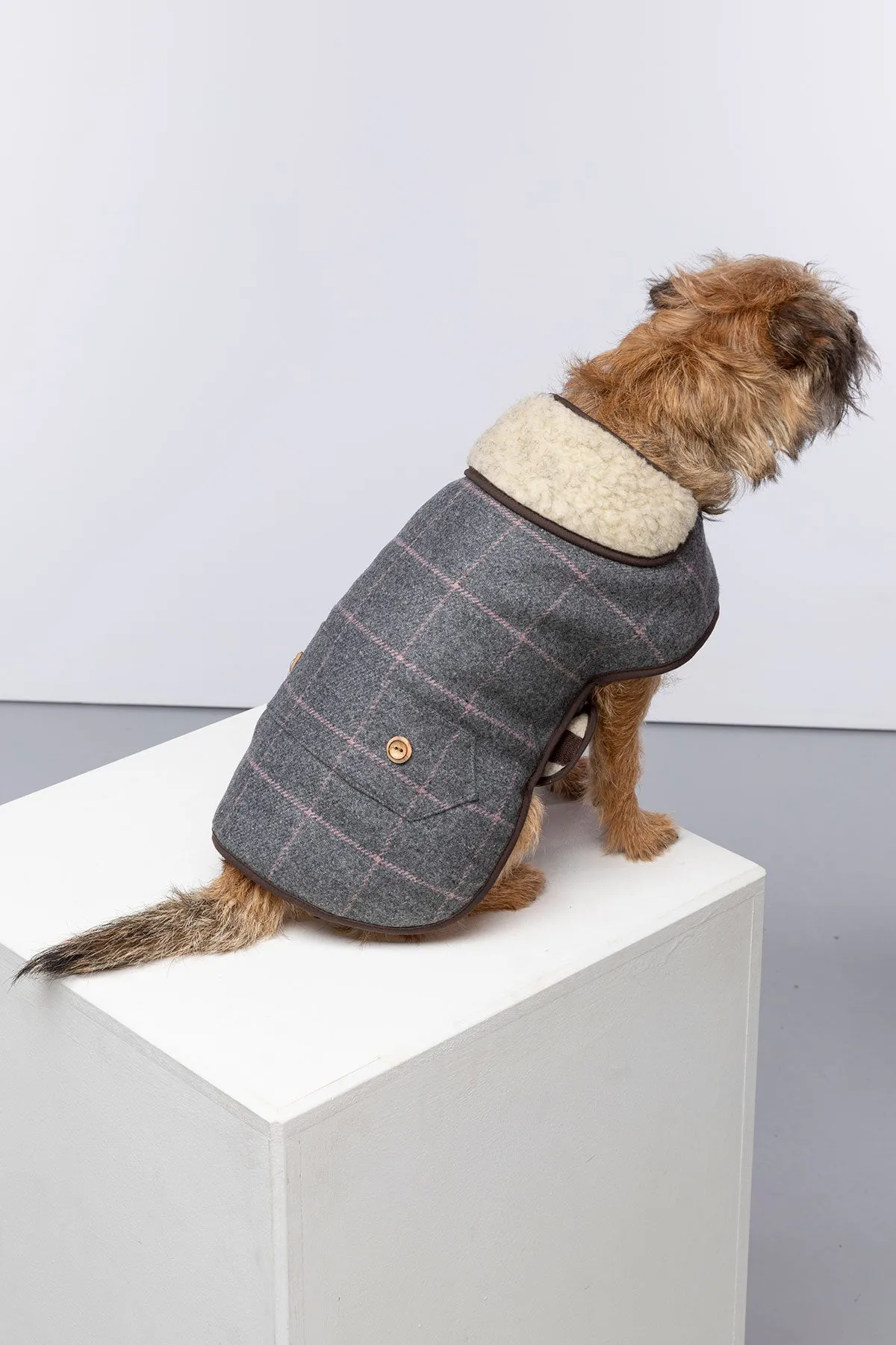 Tweed Dog Coat