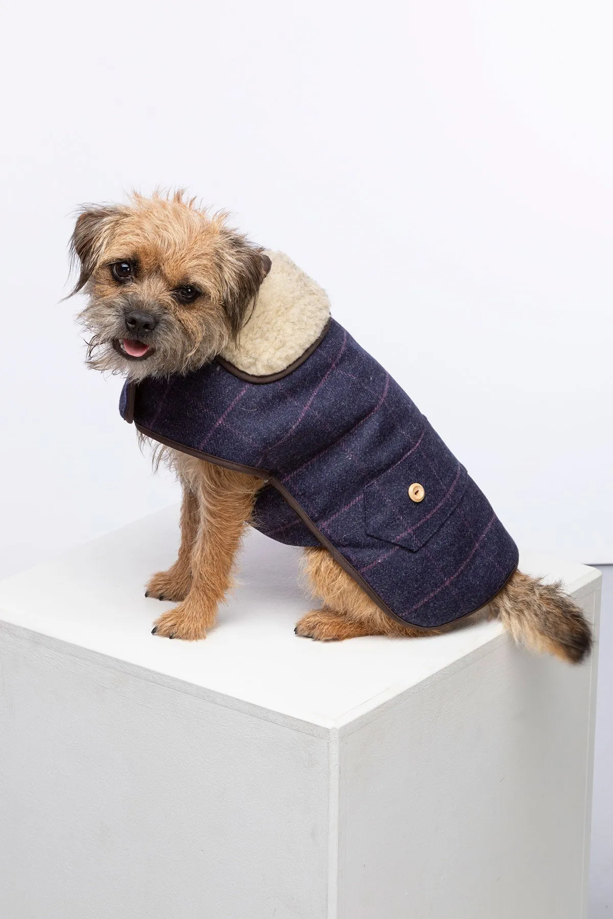 Tweed Dog Coat