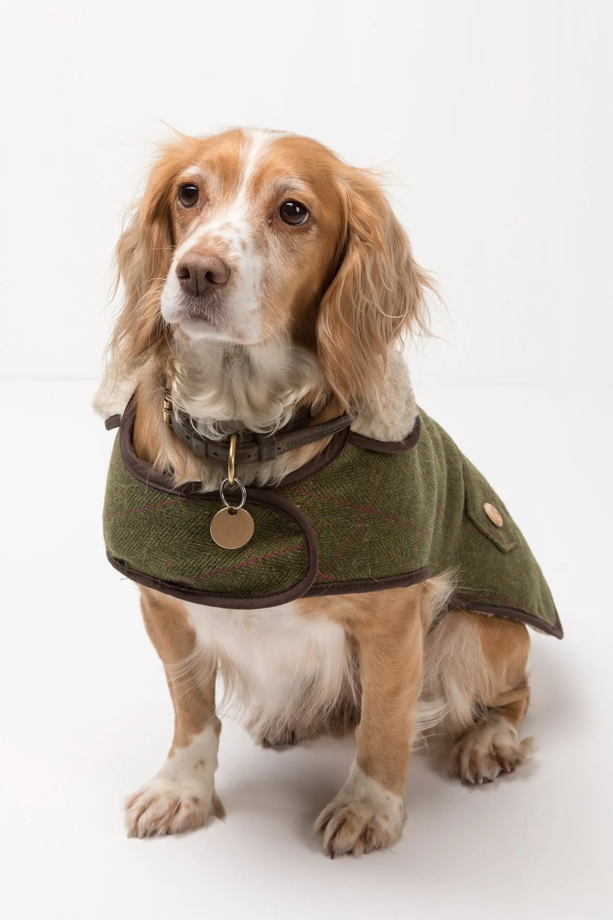 Tweed Dog Coat