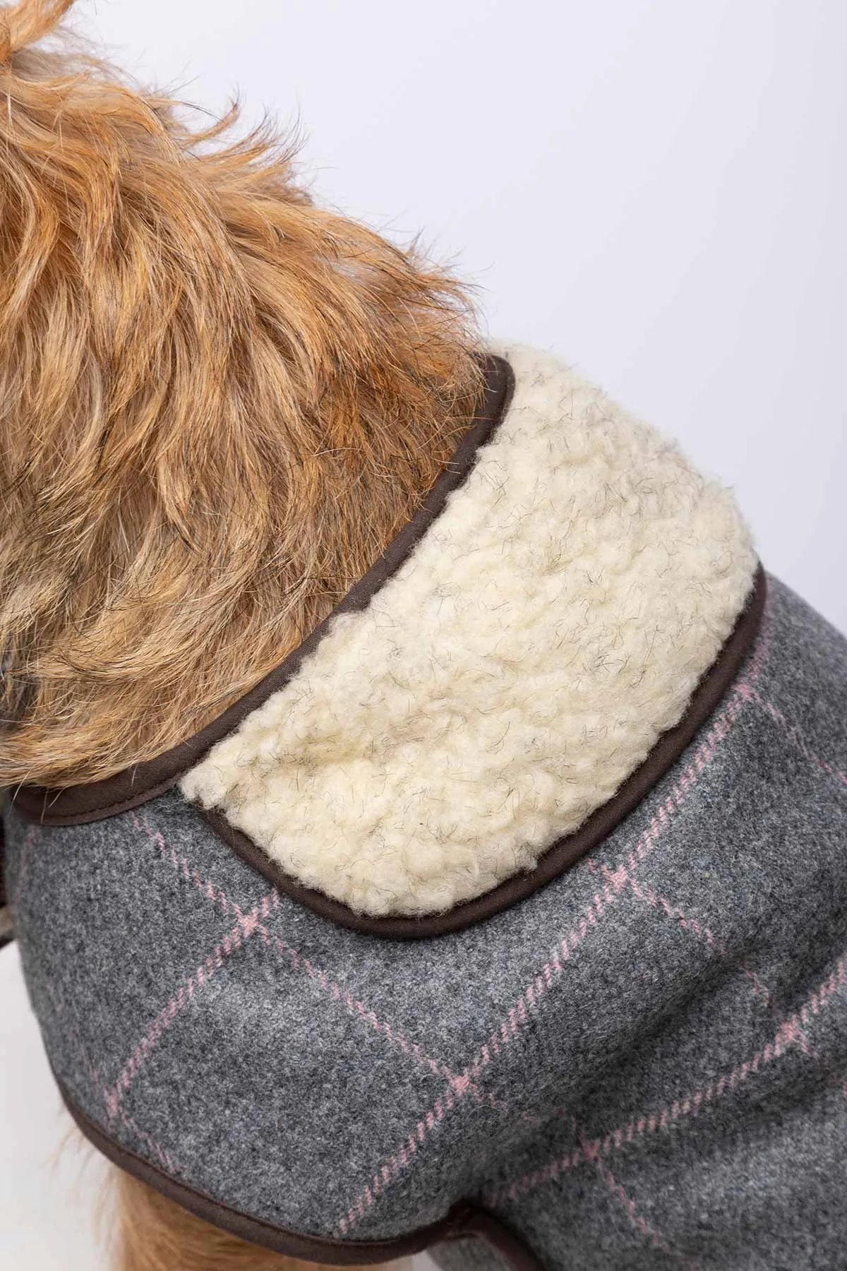 Tweed Dog Coat