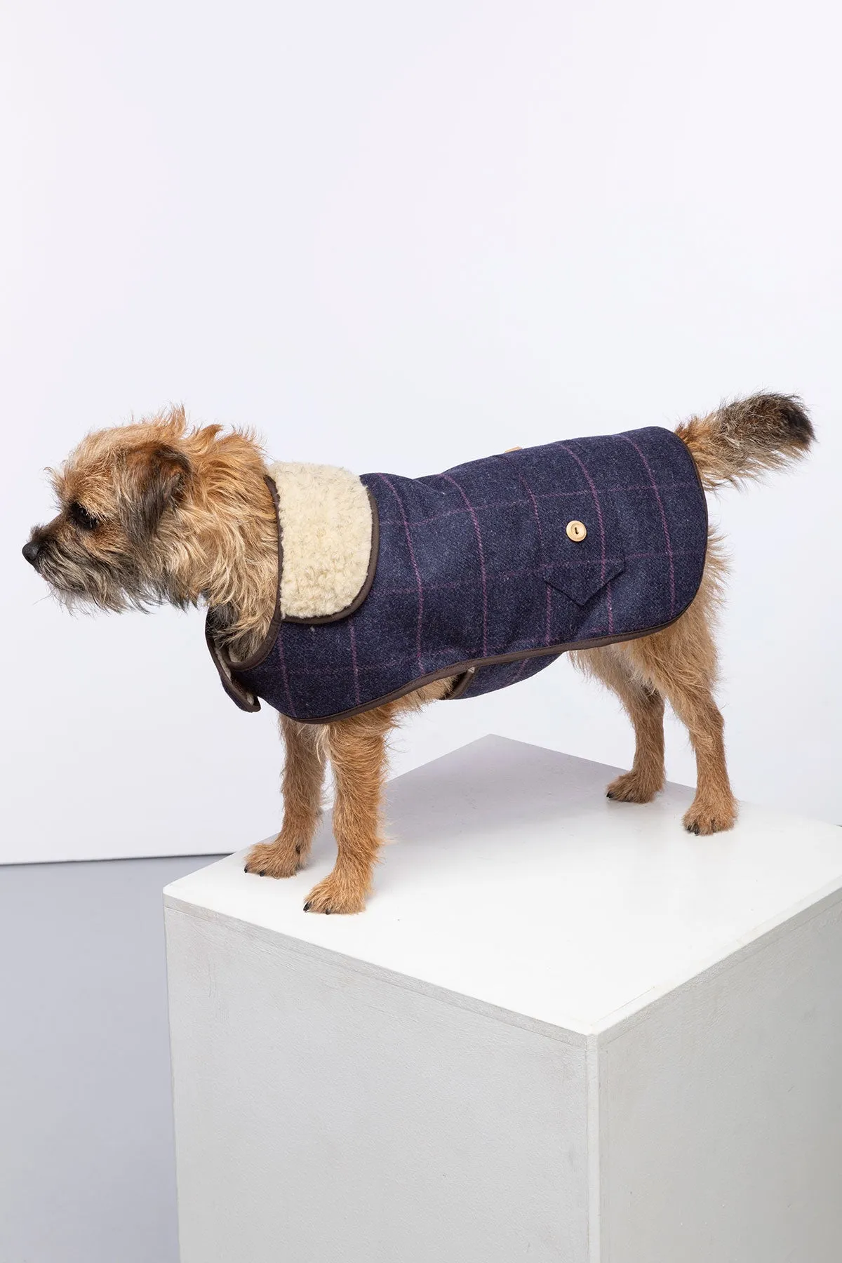 Tweed Dog Coat